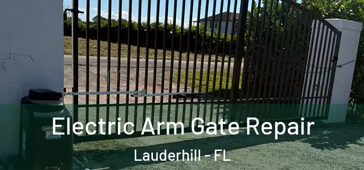 Electric Arm Gate Repair Lauderhill - FL