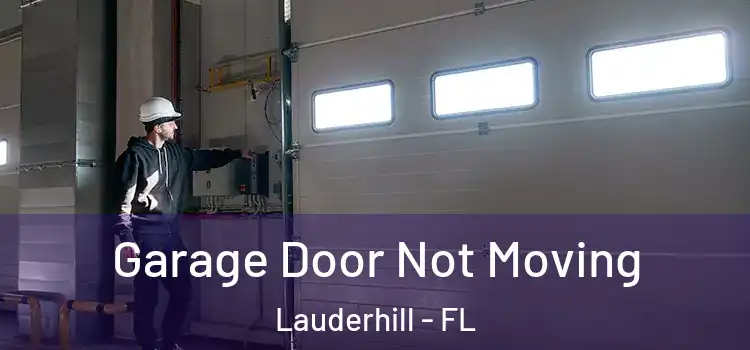  Garage Door Not Moving Lauderhill - FL