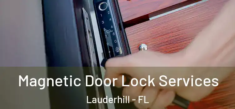 Magnetic Door Lock Services Lauderhill - FL